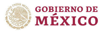 Gobierno de Mexico